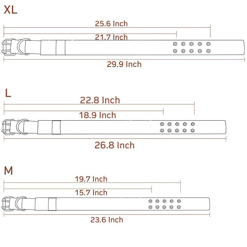 2″ Wide Tactical Dog Collar with Handle
