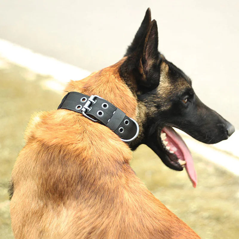 2″ Wide Tactical Dog Collar with Handle